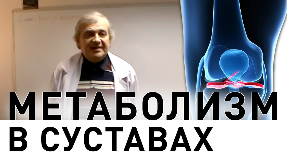 Метаболизм в Суставах