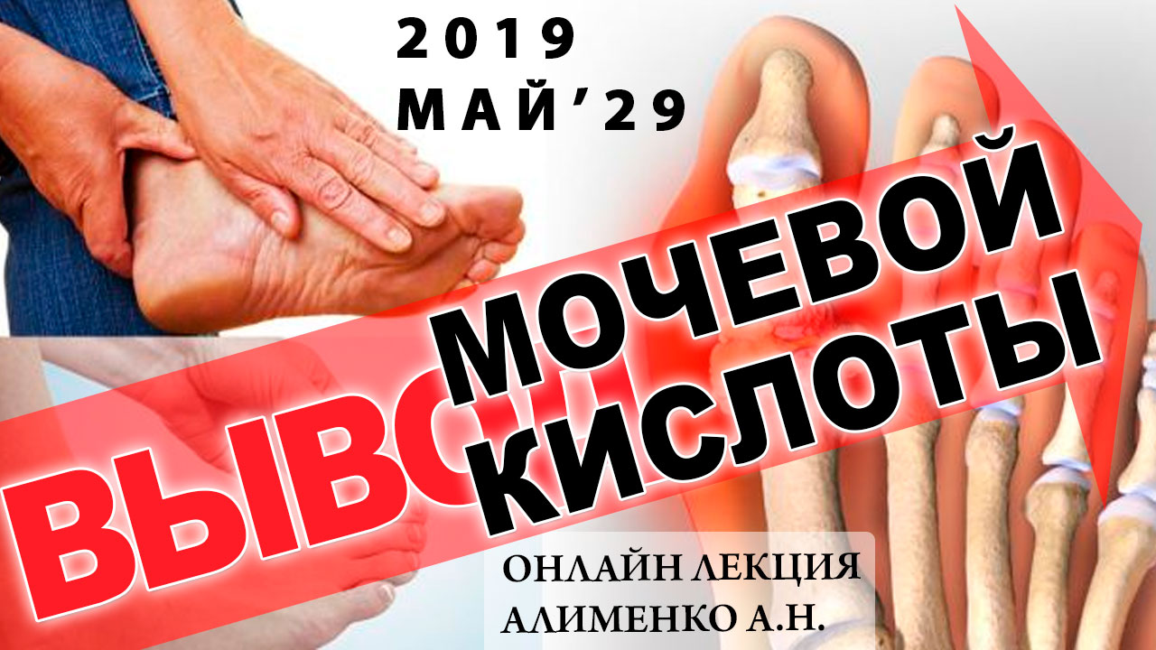 Вывод мочевой кислоты, Ксенобиотики и Янтарная кислота
