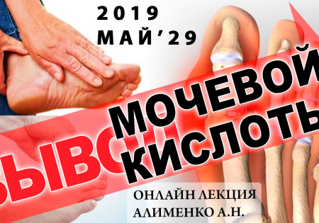 Вывод мочевой кислоты, Ксенобиотики и Янтарная кислота