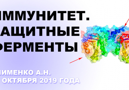 Иммунитет. Защитные ферменты