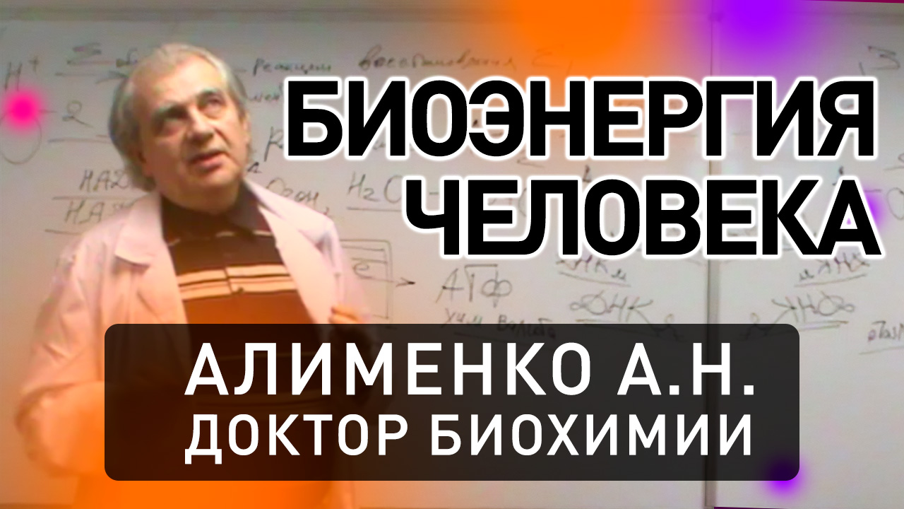 Биоэнергетика человека